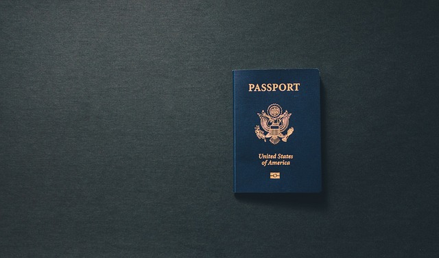 Bordo Pasaport Vize Nasıl Alınır	?