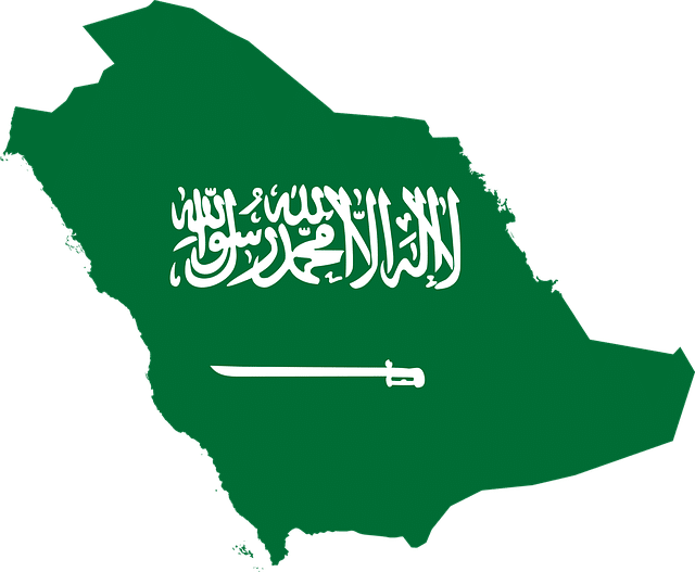 Arabistan Vize Nasıl Alınır	?